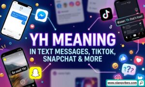 YH meaning in text messages shown in WhatsApp, TikTok, Snapchat, and social media chat conversations