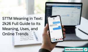 STTM meaning in text explained with chat messages, social media abbreviations, texting slang, and online conversation examples